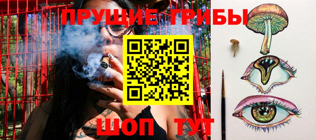 Асбест  Псилоцибиновые грибы GOLDEN TEACHER  Вход с VPN 